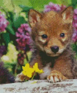 Baby Wolf Diamond Painting
