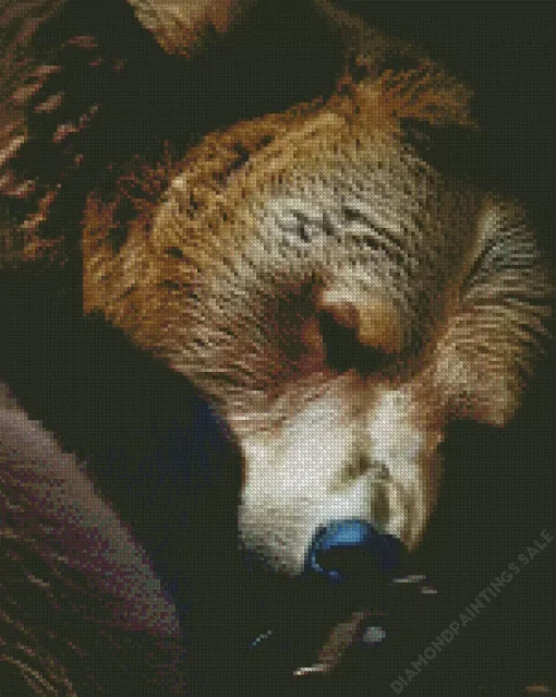 Bear Sleeping Diamond Painting