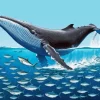 Big Blue Whale Diamond Painting