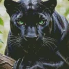 Black Panther Animal Diamond Painting