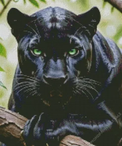 Black Panther Animal Diamond Painting