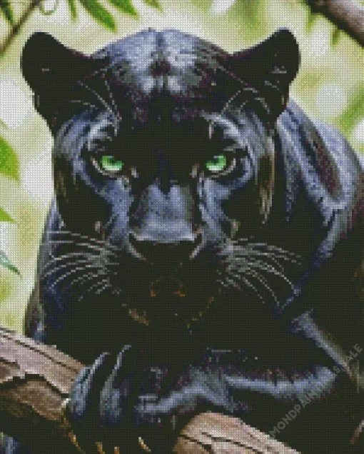 Black Panther Animal Diamond Painting