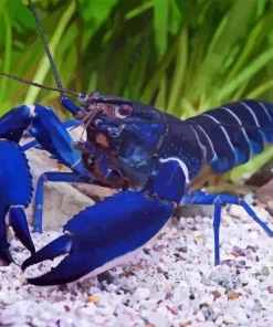 Blue Lobster Diamond Painting