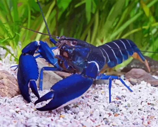Blue Lobster Diamond Painting