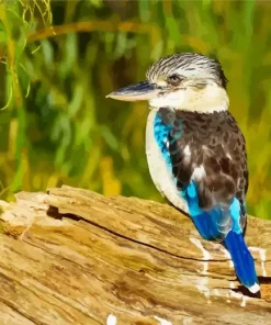 Blue Winged Kookaburra Bird Diamond Painting
