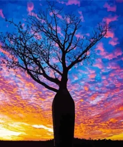 Boab Tree Silhouette Diamond Painting