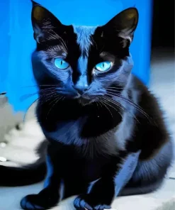 Bombay Cat With Blue Eyes Diamond Painting