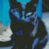 Bombay Cat With Blue Eyes Diamond Painting
