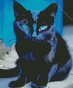 Bombay Cat With Blue Eyes Diamond Painting