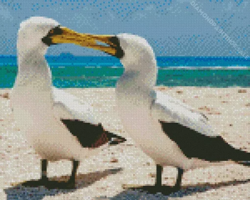 Boobies Bird Couple Diamond Painting