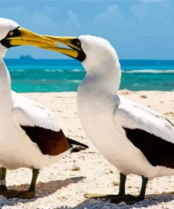 Boobies Bird Couple Diamond Painting