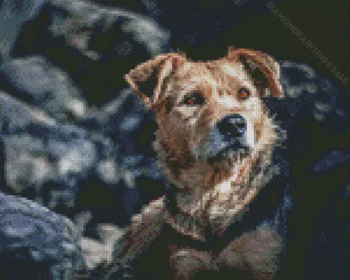 Border Terrier Dog Diamond Painting