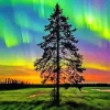Borealis Tree Diamond Painting