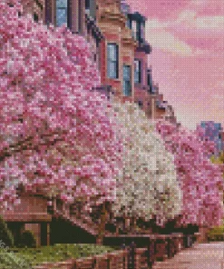 Boston Cherry Blossom Diamond Painting