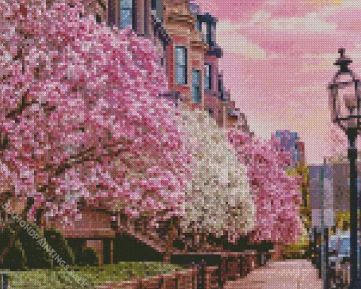 Boston Cherry Blossom Diamond Painting
