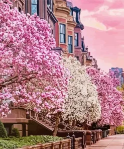 Boston Cherry Blossom Diamond Painting