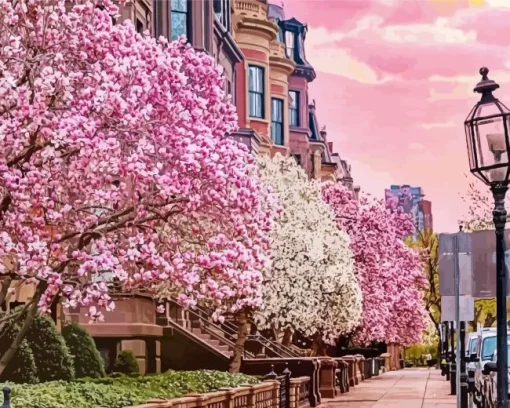 Boston Cherry Blossom Diamond Painting