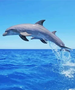 Bottlenose Dolphin Jumping Diamond Painting