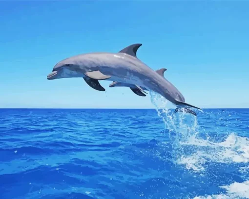 Bottlenose Dolphin Jumping Diamond Painting