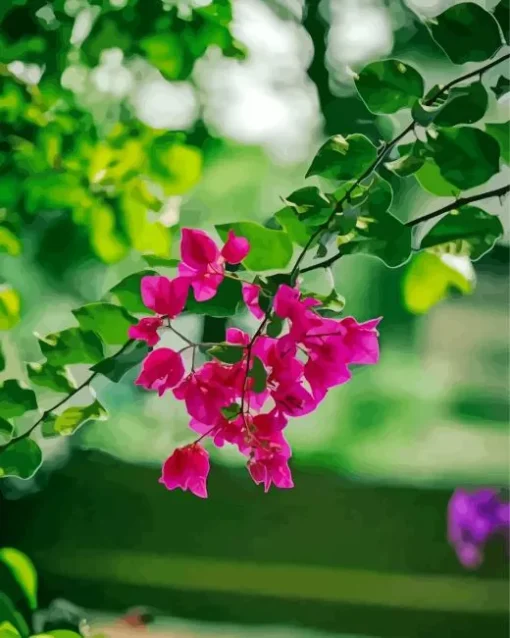 Bougainvillea Branch Diamond Painting