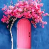 Bougainvillea Front Door Diamond Painting