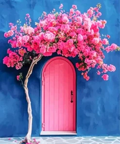 Bougainvillea Front Door Diamond Painting