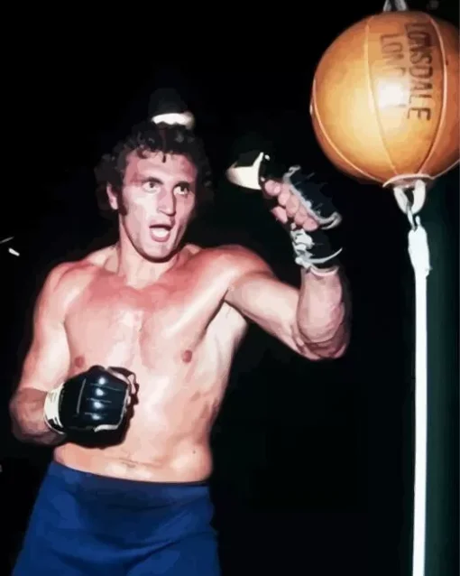 Boxer Joe Bugner Diamond Painting