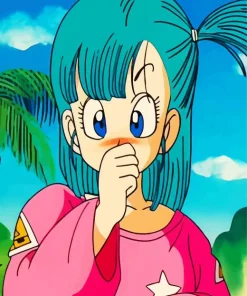Bra Dragon Ball Diamond Painting