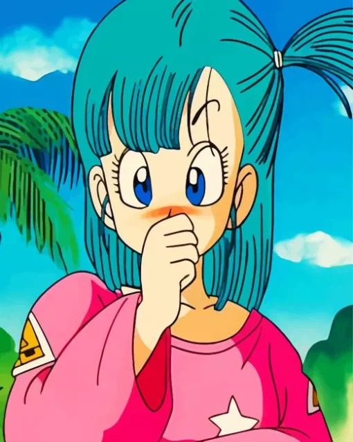 Bra Dragon Ball Diamond Painting