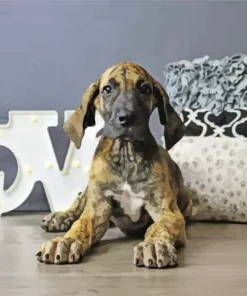 Brindle Dane Puppy Diamond Painting