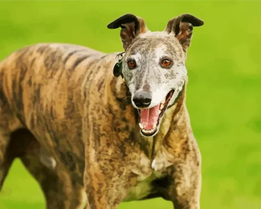 Brindle Dog Diamond Painting
