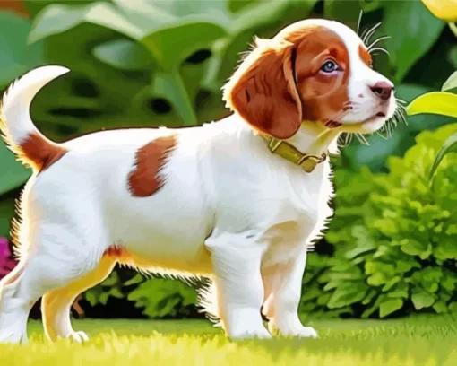 Brittany Spaniel Puppy Dog Diamond Painting