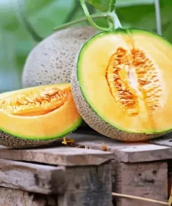 Cantaloupe Melon Diamond Painting