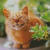 Cat Smiling Diamond Painting
