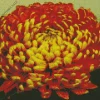 Chrysanthemum Flower Diamond Painting