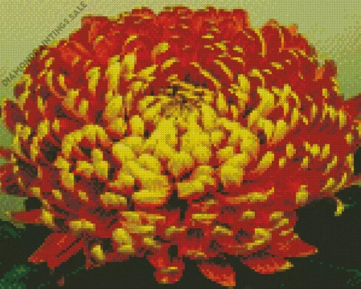 Chrysanthemum Flower Diamond Painting