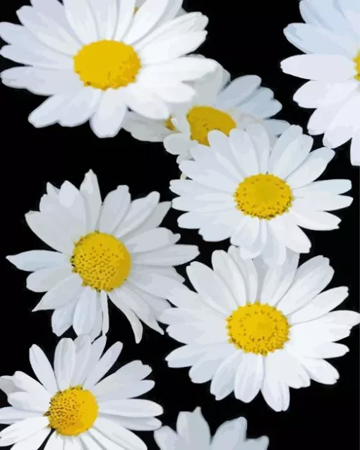 Common Daisy Flowers Diamond Painting