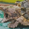 Common Snapping Turtle Diamond Painting