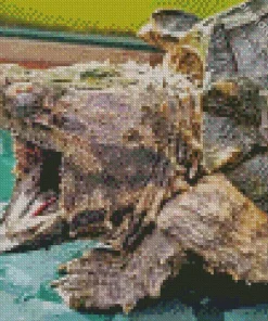 Common Snapping Turtle Diamond Painting