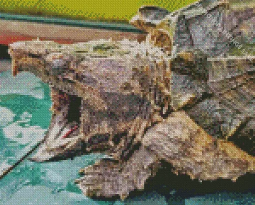 Common Snapping Turtle Diamond Painting