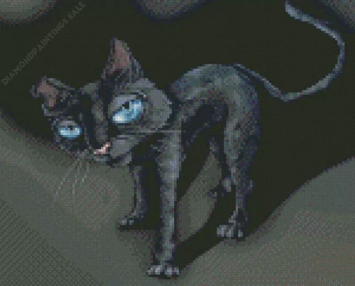 Coraline Cat Diamond Painting