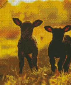 Cute Black Sheeps Diamond Painting