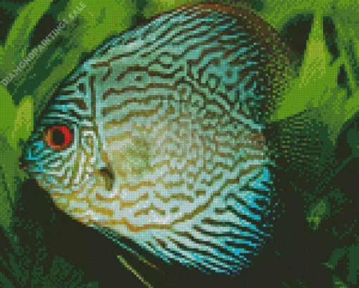 Discus Fish Art Diamond Painting