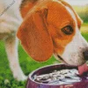Dog Drinking Water Diamond Painting