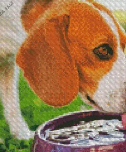 Dog Drinking Water Diamond Painting