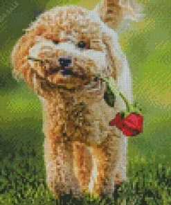 Dog Holding A Rose Diamond Painting