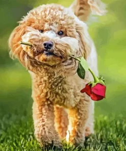 Dog Holding A Rose Diamond Painting