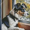 Dog Looking Out Of Window Diamond Painting