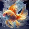 Fighter Goldfish Diamond Painting