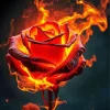 Fire Rose Art Diamond Painting